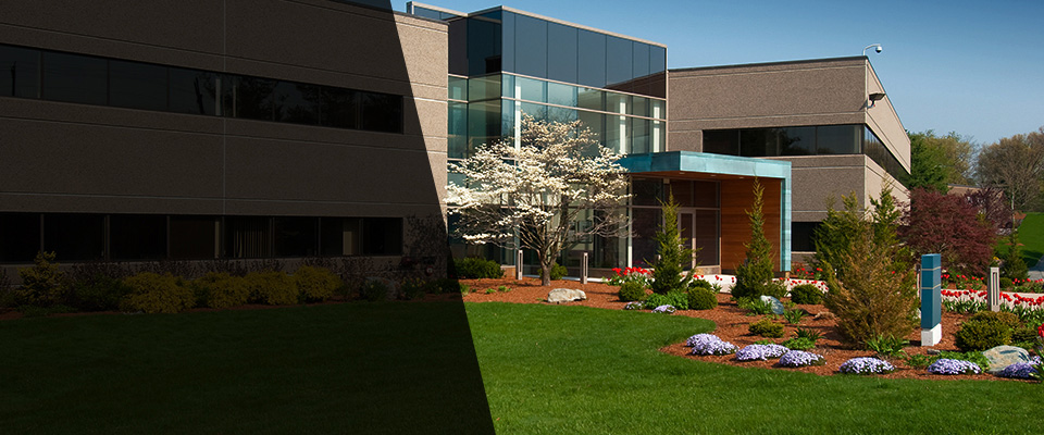 Key Biscayne Landscapers