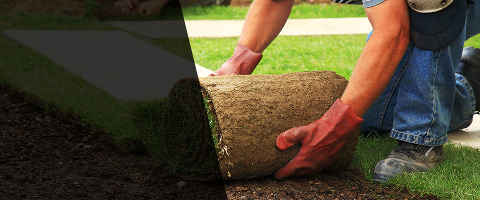 Key Biscayne Landscapers